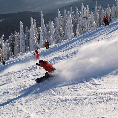 Sonnenhof Resort Bayerischer Wald Lam Kültér fotó